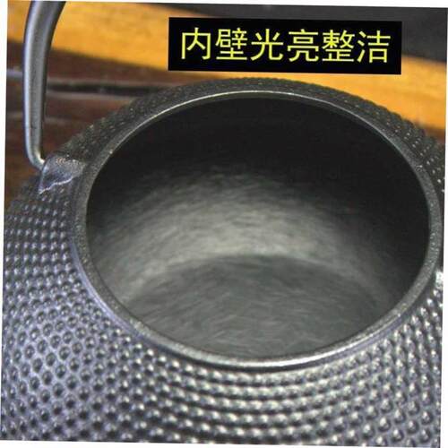 Iron Tea Pot with Stainless Steel Infuser Cast Iron Teapot
