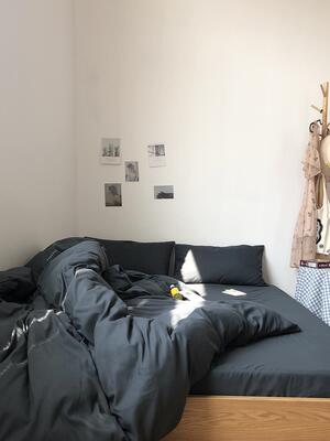 Bed Sheet Bedsheet Sheets Cover Bedsheets Bedcover Bedding