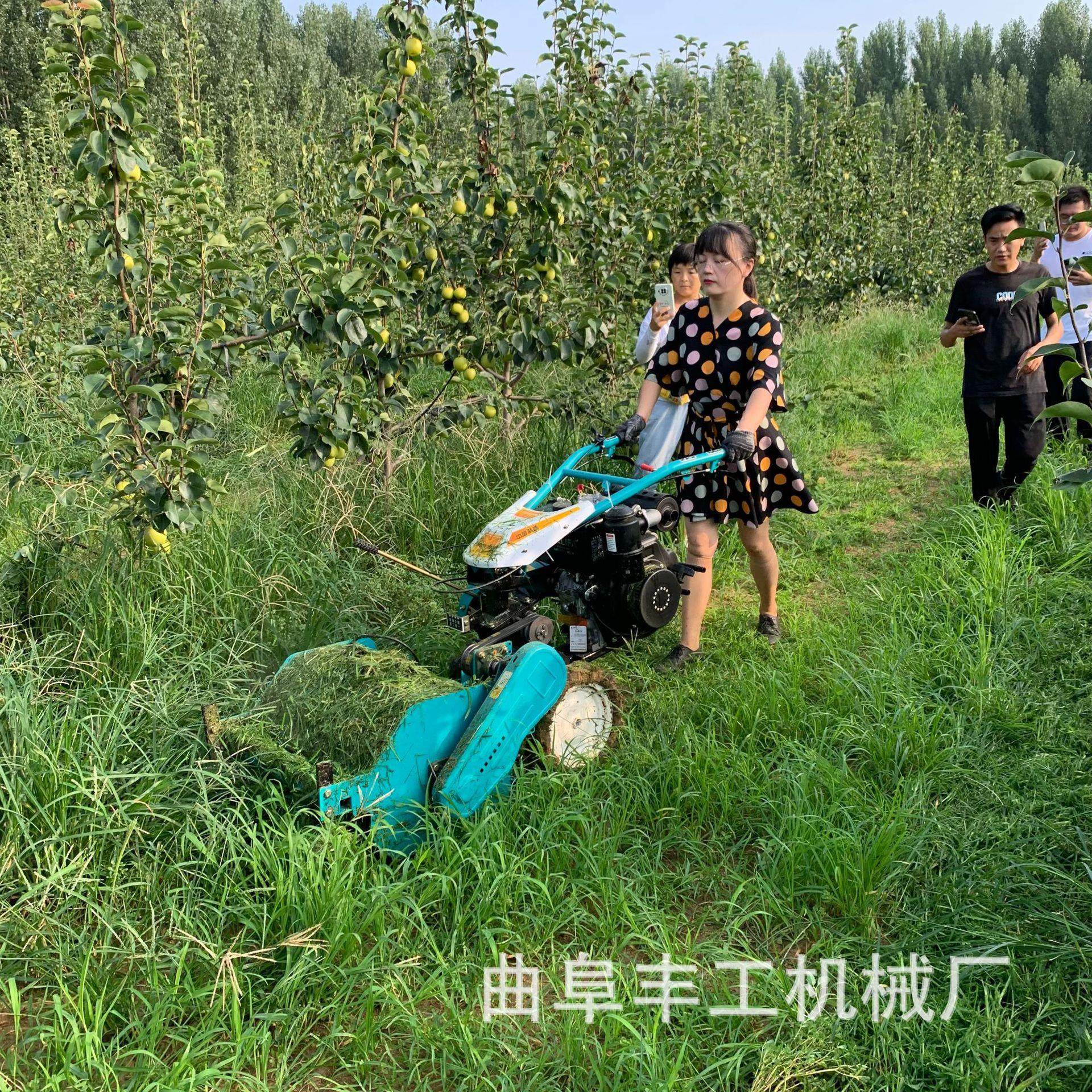 手扶自走式果园打草机柴油手推式小型割草机留茬可调碎草还田机,农机/农具/农膜,割灌机/割草机/油锯,淘宝优惠券,粉丝福利购,淘宝优惠卷