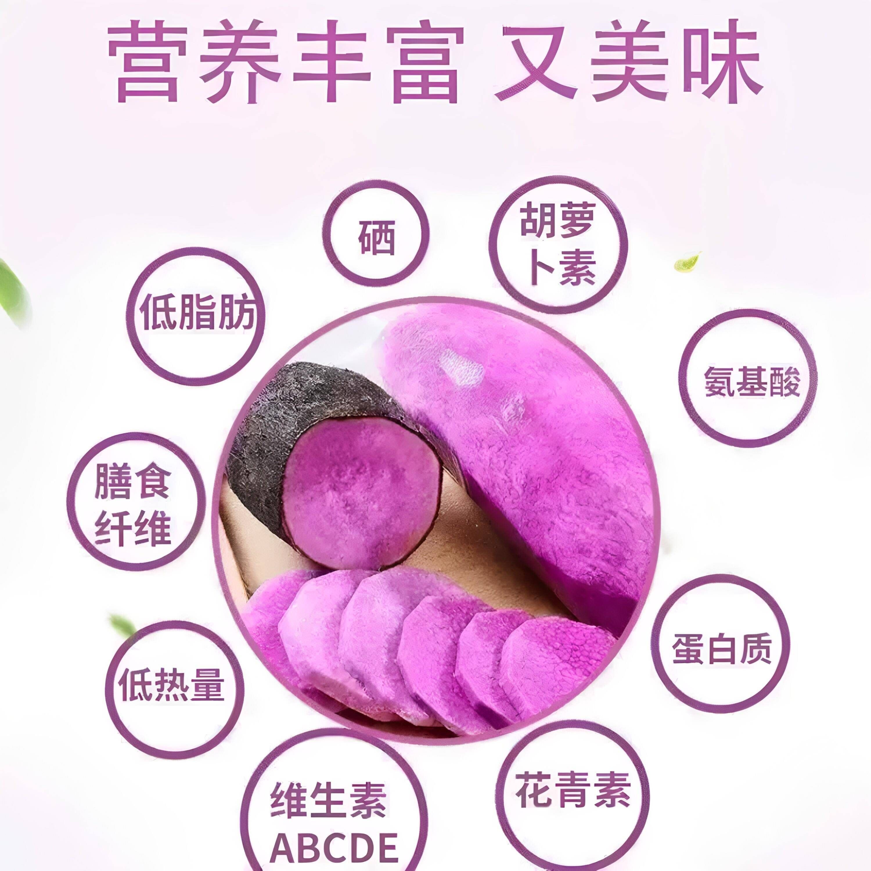 古天根中药材片干药张玄化炮制紫玉淮酒山梨汤老方PBR碎藕官企业