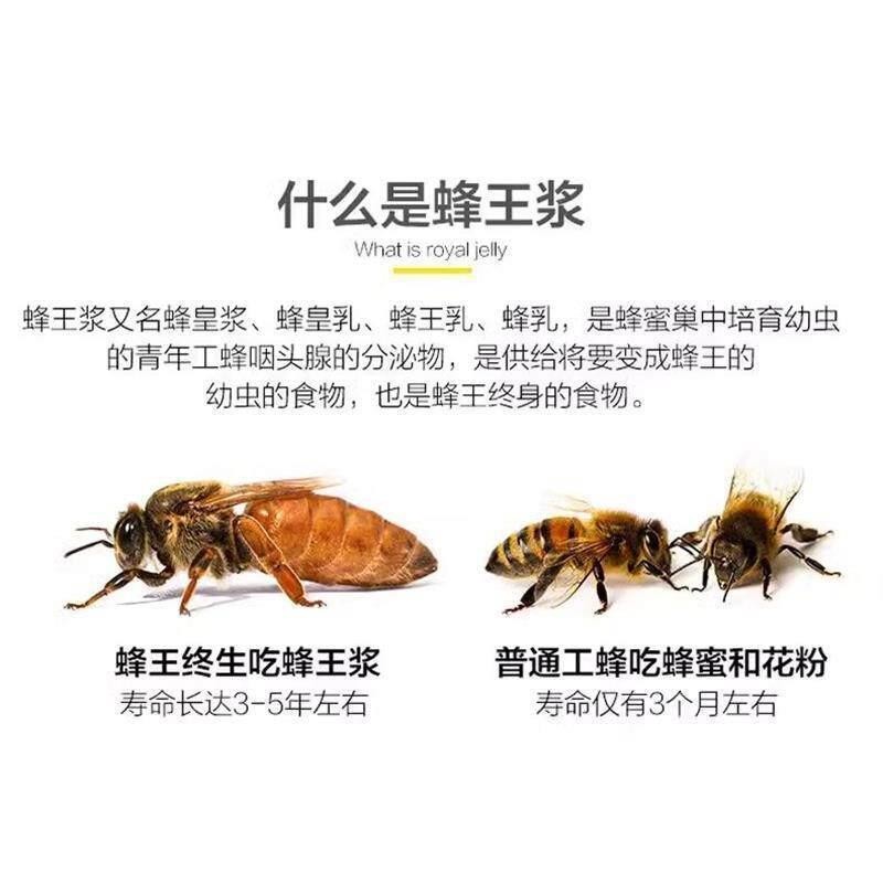 俄斯进口鲜蜂皇王浆罗纯天然野生方蜂浆无添加官IPR旗舰店正品