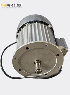 源头工厂 TD YCL7124D磨抛机电机220V 试验仪器电机