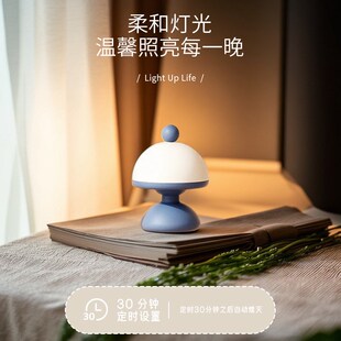 Morefun  Flowerpot 花苞小夜灯 奶油风格 创意设计氛围灯摆件