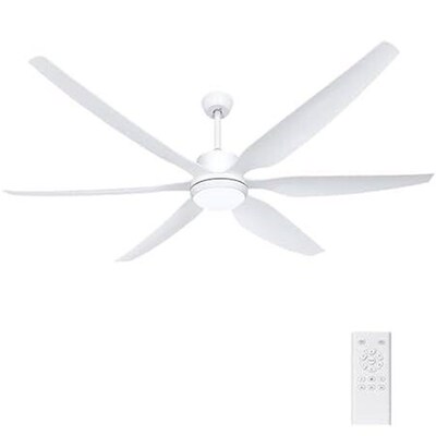 Ohniyou 66 Ceiling Fan with Lights Remote Control, Larg
