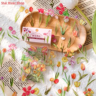 Zoecor 40pc/Bag Kawaii PET Sticker Nature Flower Plant