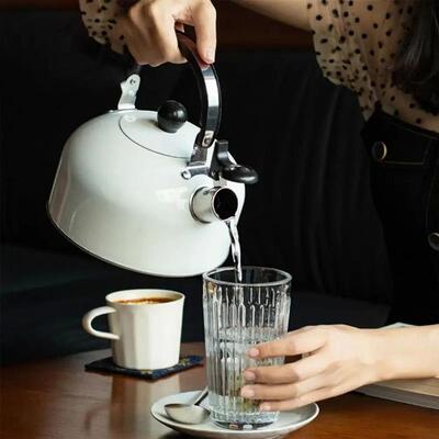 3L Home appliances Electric Stainless Steel tea water Kettle