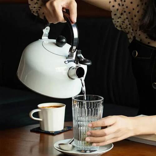 3L Home appliances Electric Stainless Steel tea water Kettle