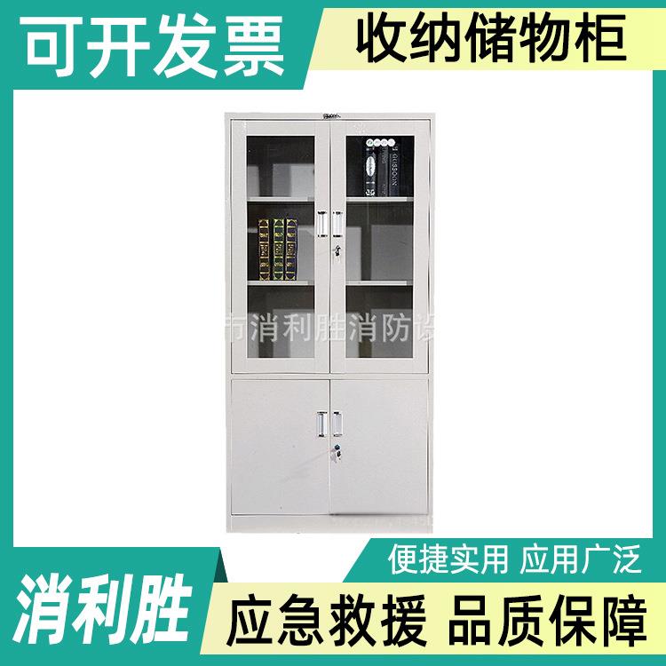 办公橱柜双开门文件柜简易多层收纳储物柜加厚落地金属档案柜