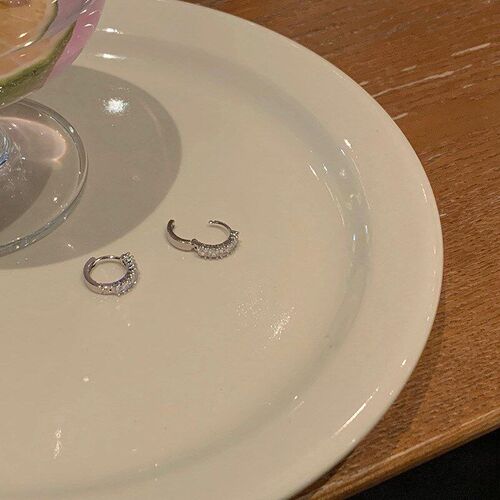 Zircon Earring Womens Summer Design Sense Highlevel Cold Sty