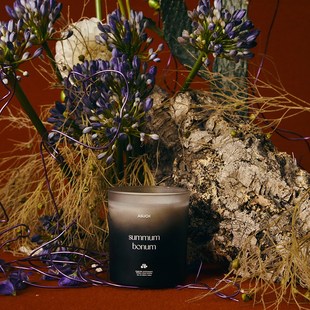 无烟香薰蜡烛卧室清新助眠玻璃送礼 再好不过 SUCH 木兰百合清香