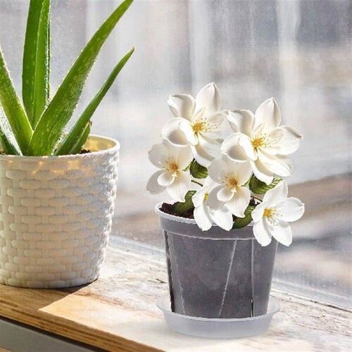 4 pcs 0.3 Gallon Breathable Root Control Pot Transparent