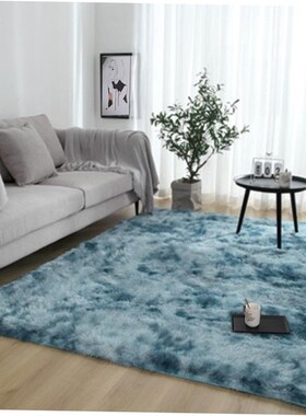 Plush bedroom rug carpet rug footcloth MATS 卧室地毯地垫