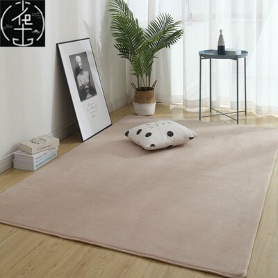 Living Room Carpet bedroom Soft Rug Carpets floor mats