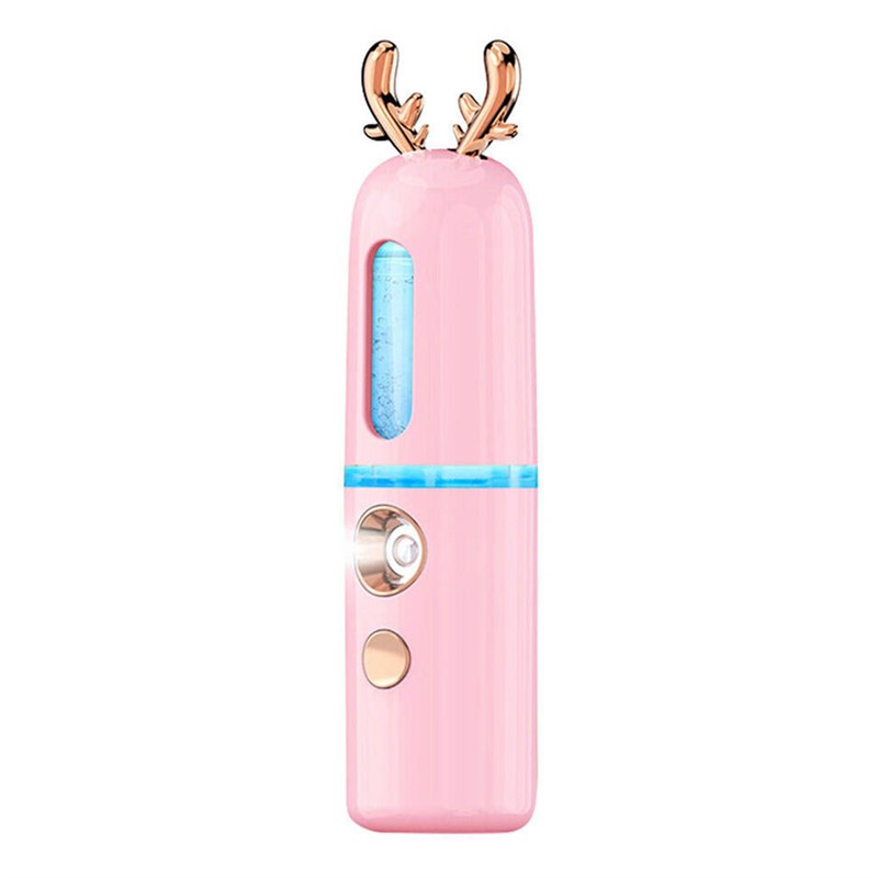New Portable Mini Nano Facial Sprayer USB Nebulizer Face Ste - 实物图