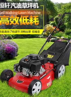 可侧排/草框集草袋手推割草机 草坪修剪造型机器 20寸草坪剪草机