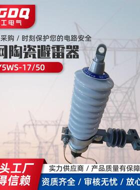 防爆型避雷器Y5WS-17/50FT 高压避雷器南方电网彩瓷避雷器高压