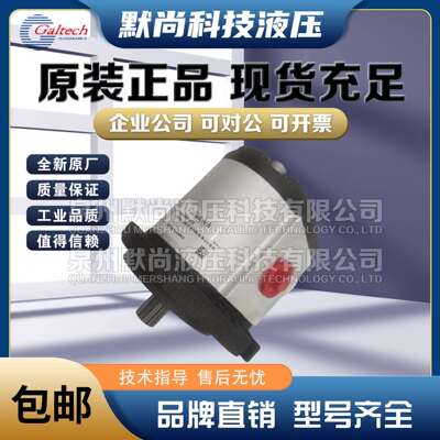 意大利高泰克油泵Galtech齿轮泵3SPA29D-10N 3SPA33D-10N液压泵