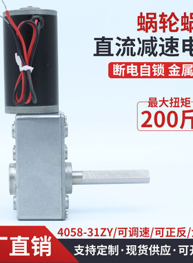 4058-31ZY蜗轮蜗杆直流减速电机大扭力直角自锁微型小马达12V24V
