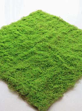 植物墙仿真苔藓绿色假苔藓青苔微景观盆景造景装饰材料草坪草皮