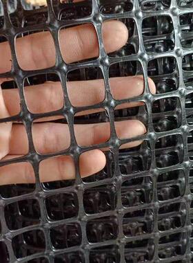 黑色聚丙烯PP土工格栅工程路基加固养殖圈地玉米围网户外拦鸡网