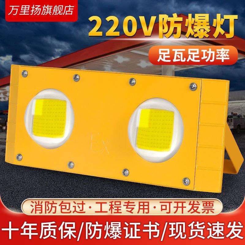 隧道灯led防爆灯仓库户外灯100W加油站船用低压24V12v36V投光灯