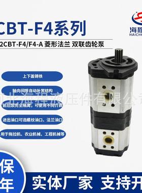 2CBT-F4/F4-A 双联液压泵 FG1804-2204潍柴拖拉机配套双联泵