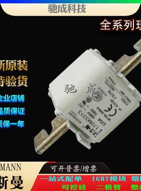 巴斯曼170M3310 170M3311 170M3312 经销优价供应 低压熔断器