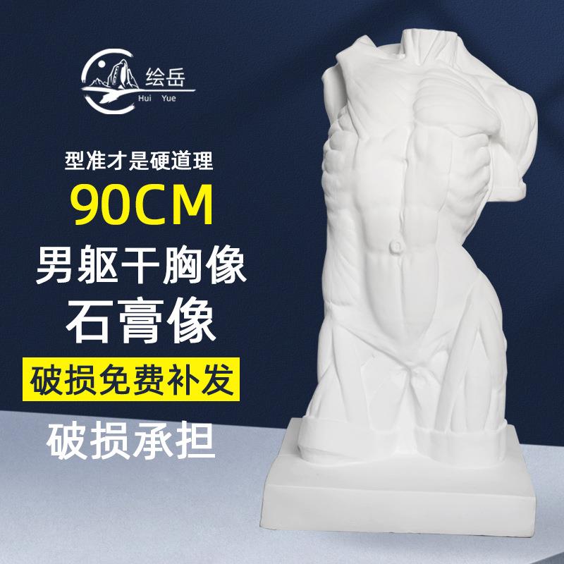 男躯干石膏胸像90cm写生素描绘画临摹雕塑美术石膏体摆件静物教具