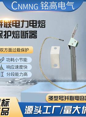 并联电力电容器保护用高压熔断器BR8W-7/50P/80P/100P/120P/150P
