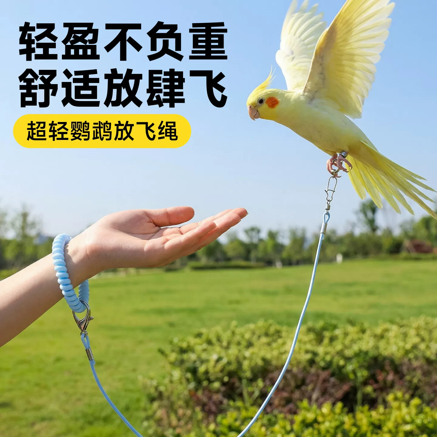 放飞绳鹦鹉超轻牵引绳外出遛鸟绳小太阳虎皮不伤脚脚环脚链弹力绳
