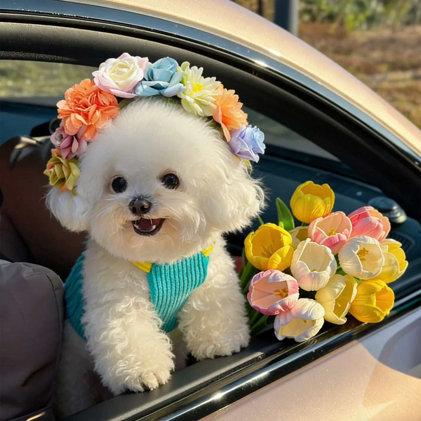狗狗簪花发箍宠物头饰可调节猫咪发夹发卡春日氛围感拍照出片神器
