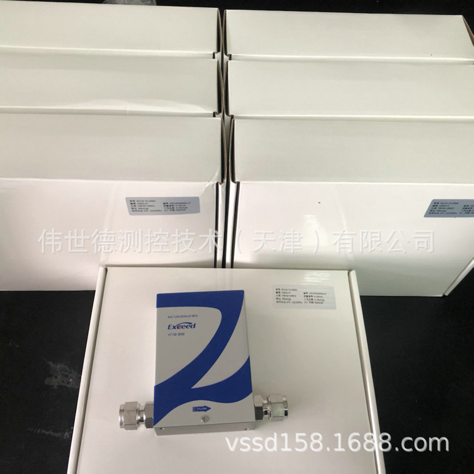 伟世德气体质量流量计VF1100