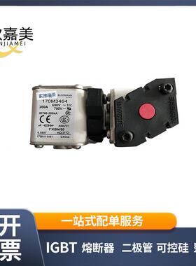 170M3464 170M3465 快速熔断器 电子元器件 型号齐全 量大价优