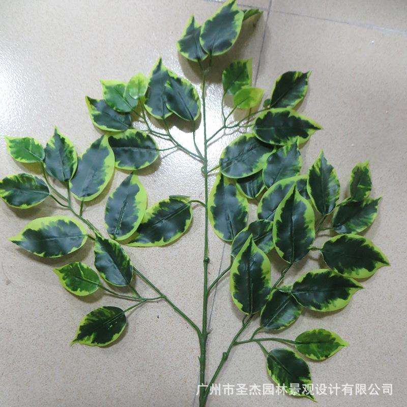 仿真榕树叶榕树枝 大型仿真树假树枝装饰仿真植物 仿真双色榕树叶