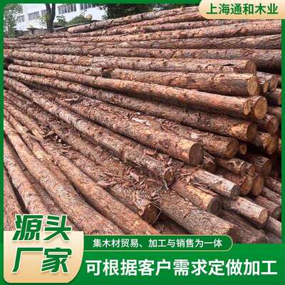 杉木桩原木景观装修装饰木 工地河堤用削尖打桩木桩厂家现货