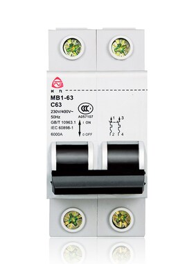 MB1-3泰永长征TYT长九C32CC家用1断路器10空气开关总闸P
