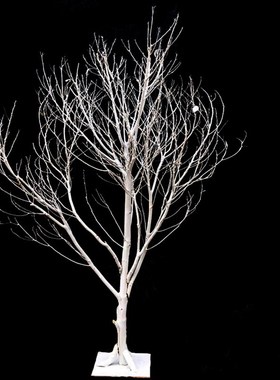 干树枝干枝白色树干许愿树橱窗枯树杆仿真婚庆路引树枝装饰摆件