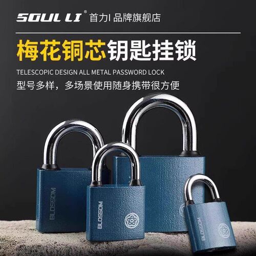 Plum Blossom Lock with Pure Copper Core, Blue Waterproof and