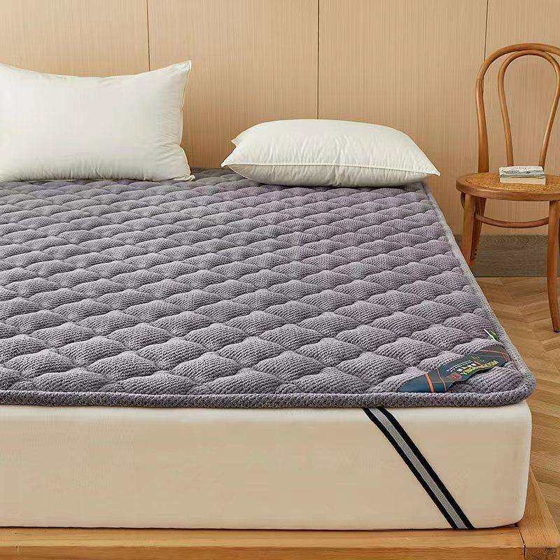 2023冬季新品艾绒床垫家用加厚床垫学生宿舍榻榻米租房软床垫,鲜花速递/花卉仿真/绿植园艺,割草机/草坪机,淘宝优惠券,粉丝福利购,淘宝优惠卷