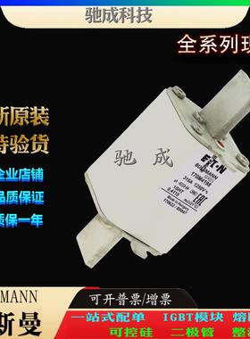 巴斯曼170M4198 170M4202 170M4203 销售供应厂价销售 原装熔断器