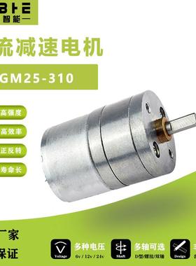 JGA25-310微型直流减速电机6V12V智能小车智能家居减速调速马达