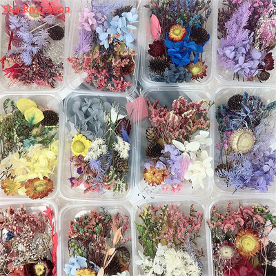 30g/box Dried Flowers for Resin PreservedFreshFlower Dried P