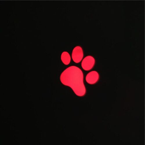 Funny Pet LED Laser Toy Cat Laser Toy Cat Pointer Light Pen