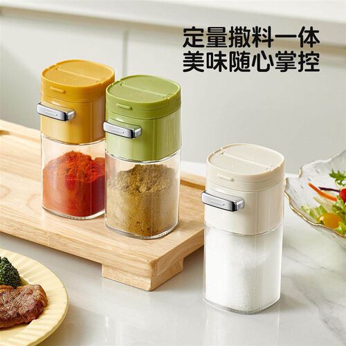 2-in-1 Seasoning Container for Home Kitchen, Divided Spice B