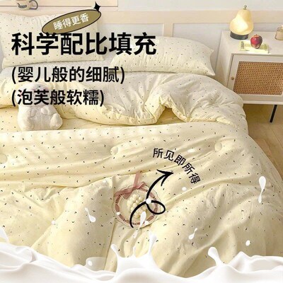 thickened warm quilt core all seasons blanket comforter2*2.3