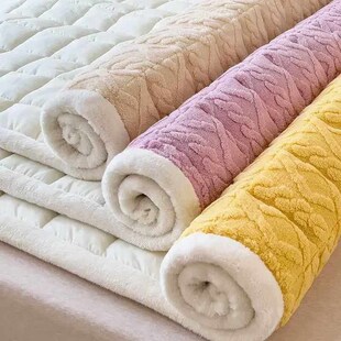 Winter Soft Fleece Maress Toppers Home Dormitory Single Doub