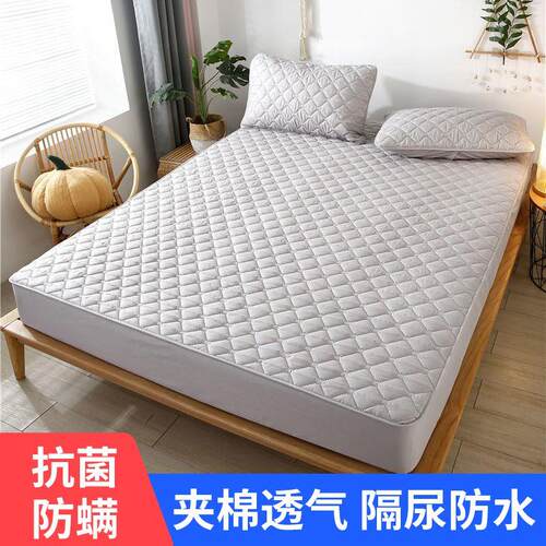 Solid Waterproof Mattress Protector with Elastic Band Sandin