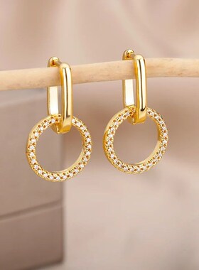 Fashion Zircon Circle Drop Earring For Women Stainless Steel