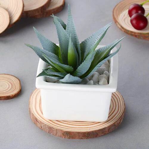 Natural Round Wood Coasters Cup Pad Tea Coffee Mug Mat Drink
