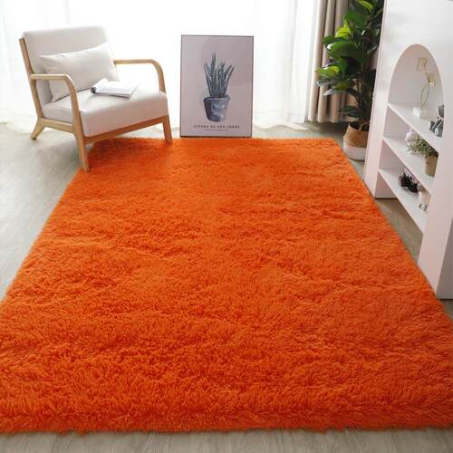 RULDGEE Shaggy Carpet for Living Room Home Plush Floor Alfom